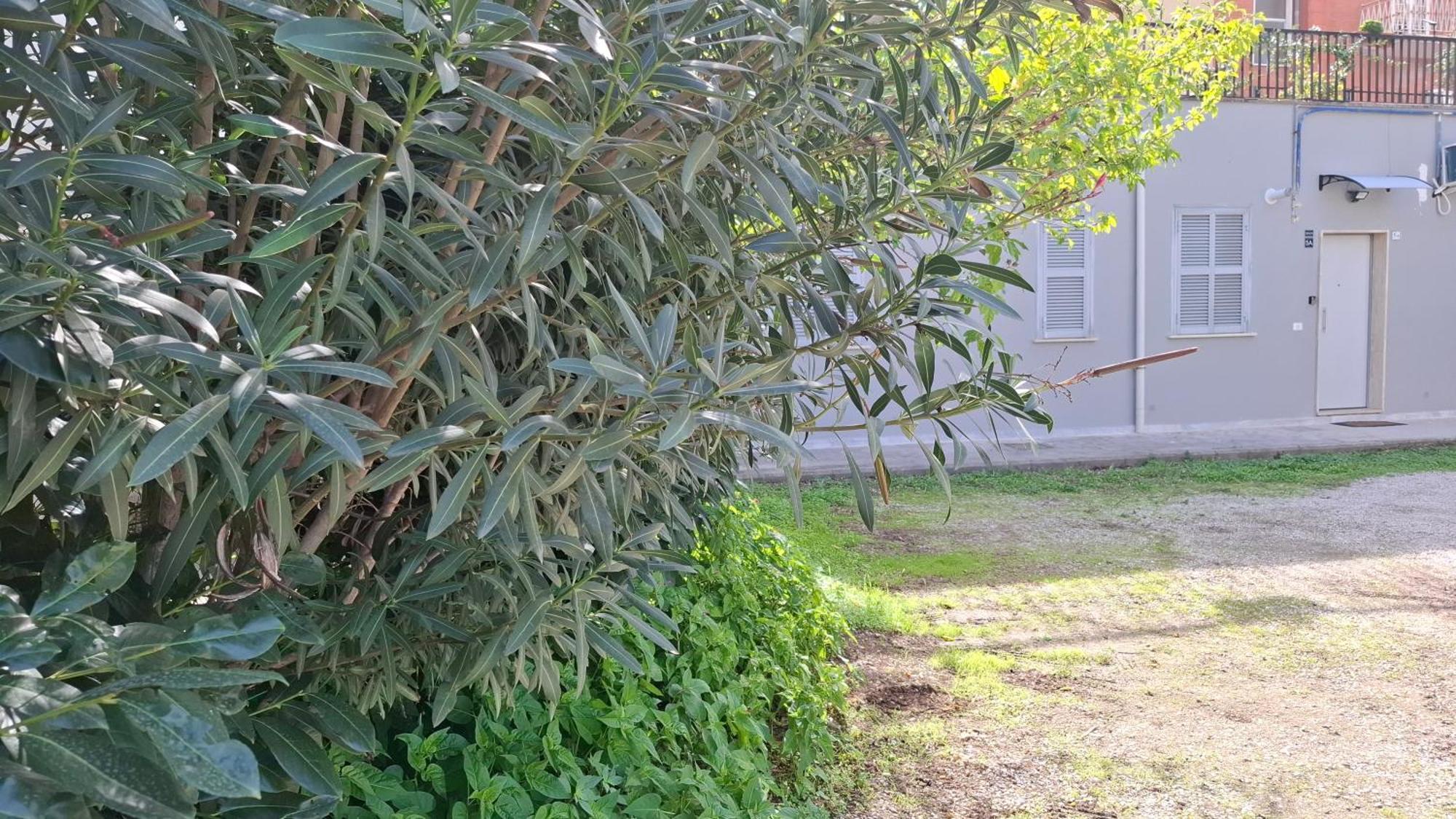 Altavilla Apartments Roma 外观 照片